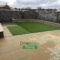 Roll on Turf